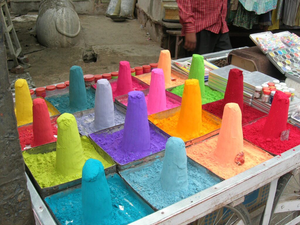 Rajasthan India reis