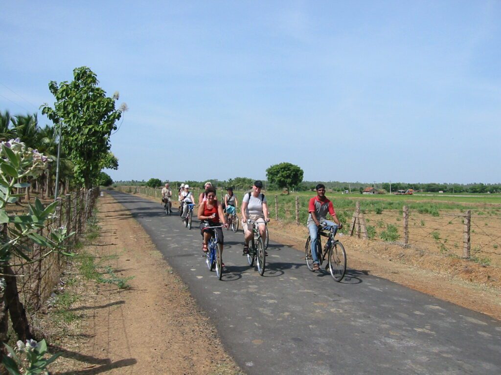 IZuid-India Mammalapuran