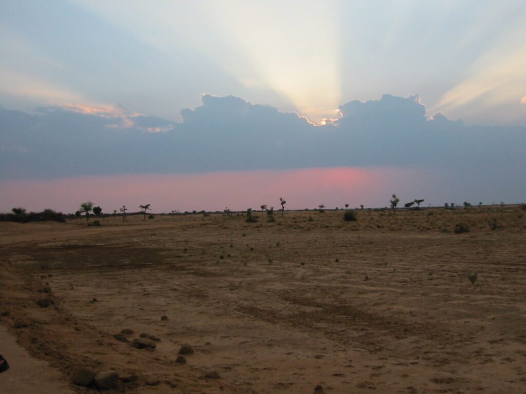 Rajasthan India kamelentocht Bikaner
