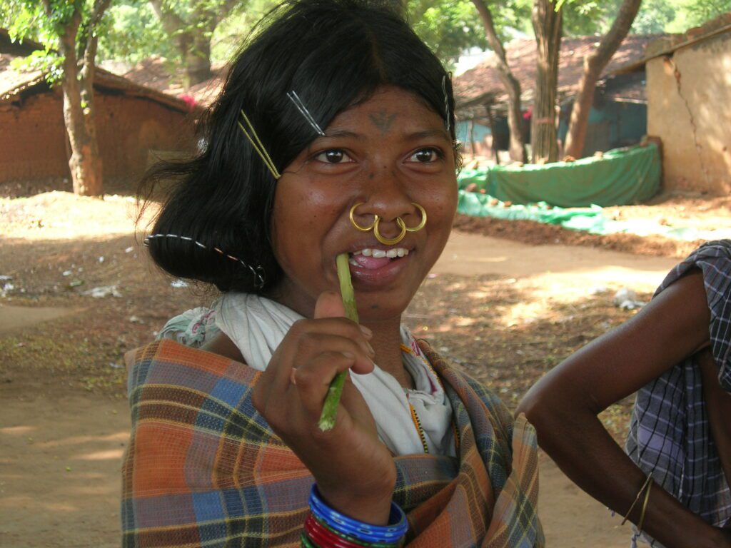 Dongria Kondh Odisha